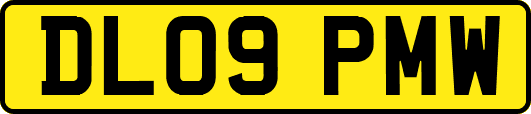 DL09PMW