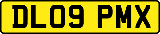 DL09PMX