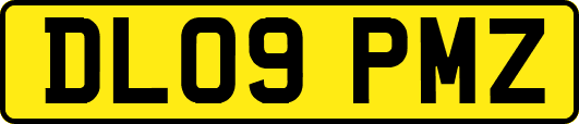 DL09PMZ