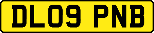 DL09PNB