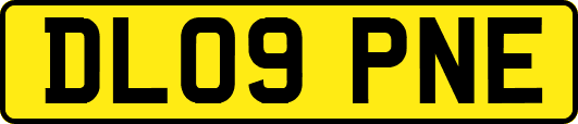 DL09PNE