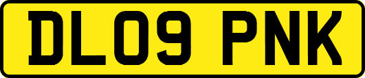 DL09PNK