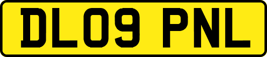 DL09PNL
