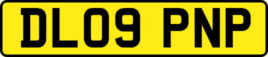 DL09PNP