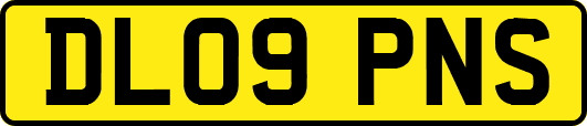 DL09PNS