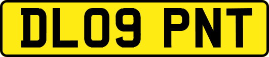 DL09PNT
