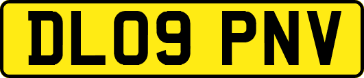DL09PNV