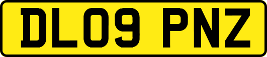 DL09PNZ