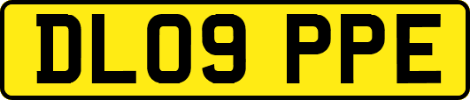 DL09PPE
