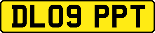 DL09PPT