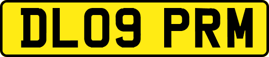 DL09PRM