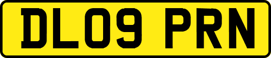 DL09PRN