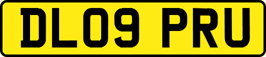 DL09PRU