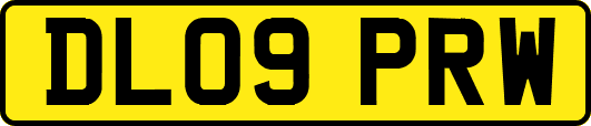 DL09PRW