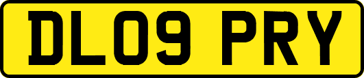 DL09PRY