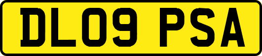 DL09PSA