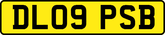 DL09PSB