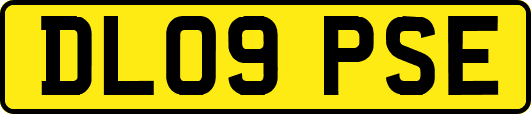 DL09PSE