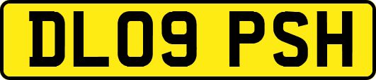 DL09PSH