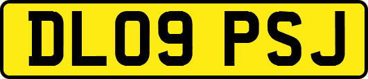 DL09PSJ