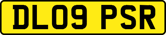 DL09PSR