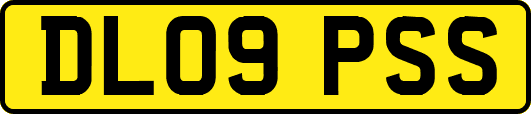 DL09PSS