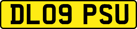 DL09PSU