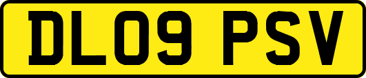 DL09PSV