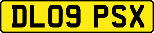 DL09PSX