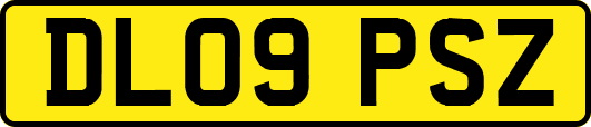 DL09PSZ