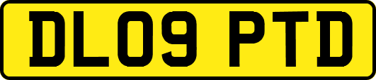 DL09PTD