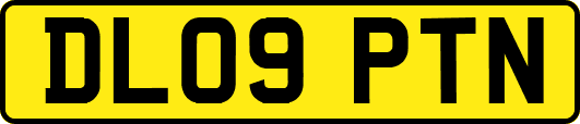 DL09PTN