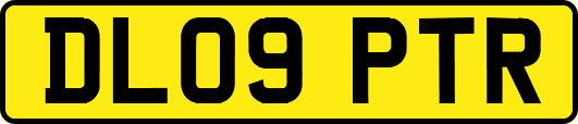 DL09PTR