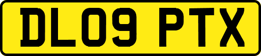 DL09PTX