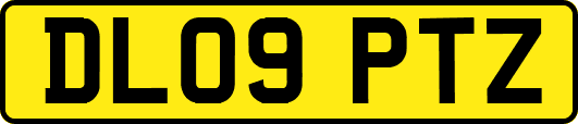 DL09PTZ