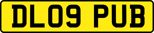 DL09PUB