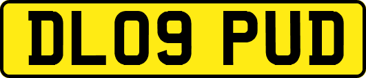 DL09PUD