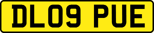 DL09PUE