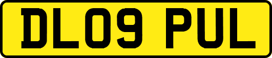 DL09PUL