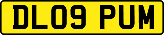 DL09PUM