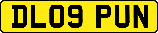 DL09PUN