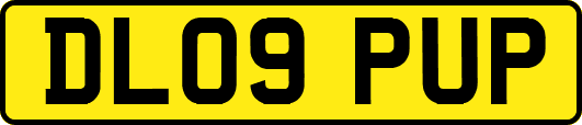 DL09PUP