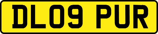 DL09PUR