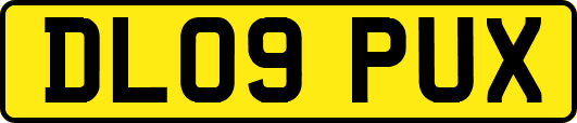 DL09PUX