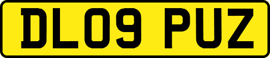 DL09PUZ