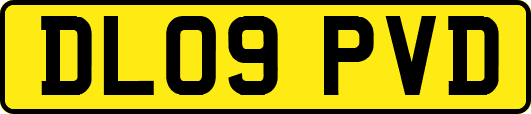DL09PVD