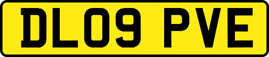 DL09PVE