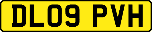 DL09PVH