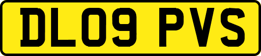 DL09PVS