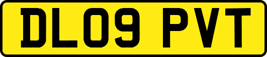 DL09PVT